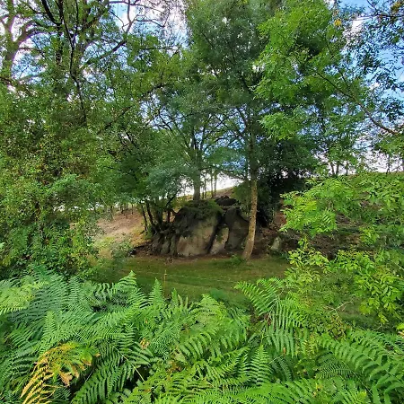 A Andre De La Marche Proche Du Puy Du Fou * Saint-André-de-la-Marche
