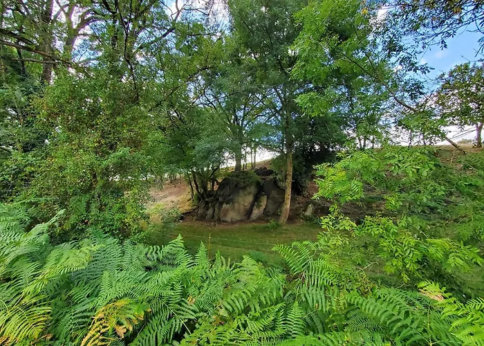 A Andre De La Marche Proche Du Puy Du Fou * Saint-André-de-la-Marche