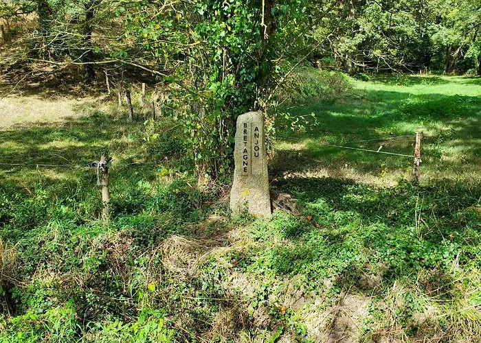 A Andre De La Marche Proche Du Puy Du Fou Saint-André-de-la-Marche